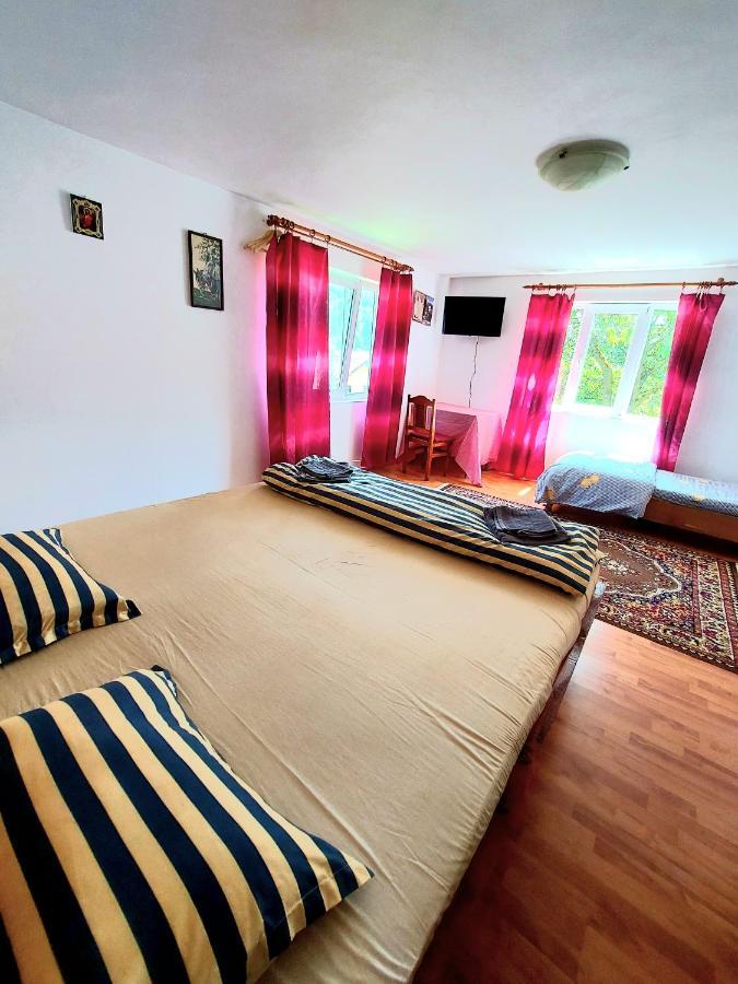 Pensiunea Boca Voronet Exteriör bild