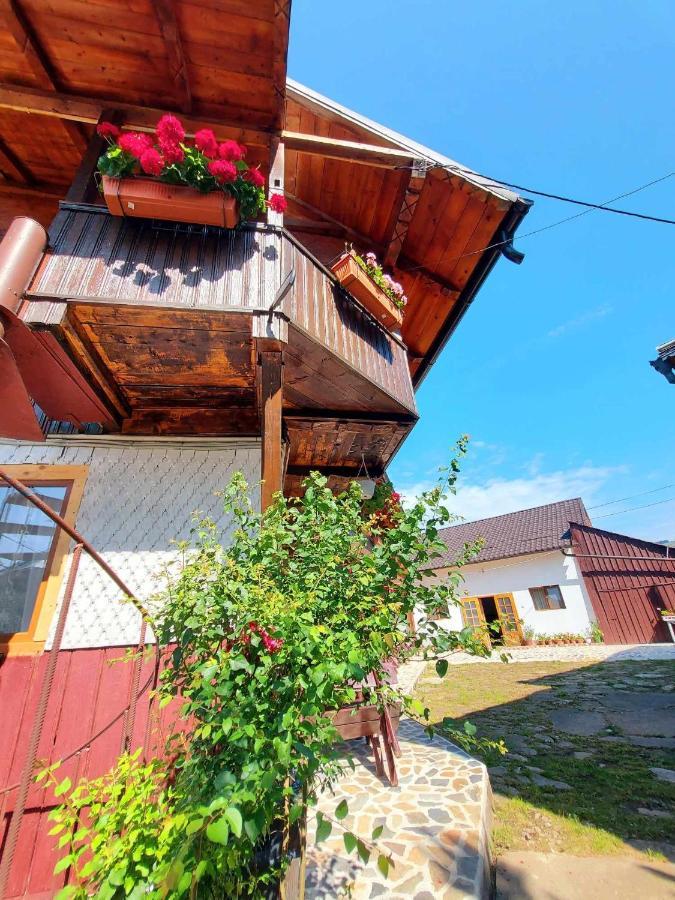 Pensiunea Boca Voronet Exteriör bild