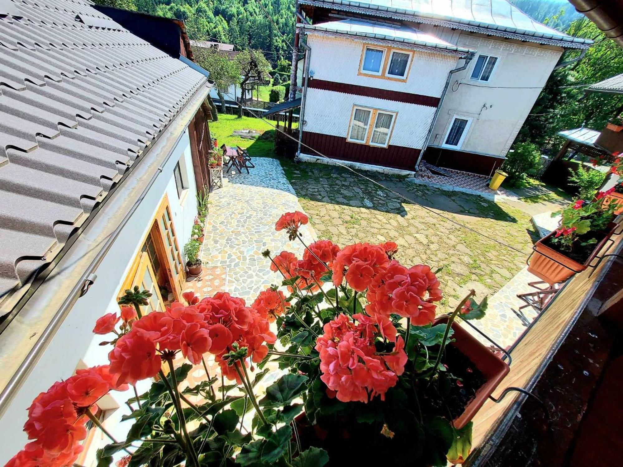 Pensiunea Boca Voronet Exteriör bild